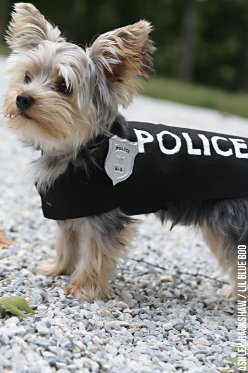 DIY Dog Halloween Costume
 DIY Police Costume and K 9 Dog Halloween Costume