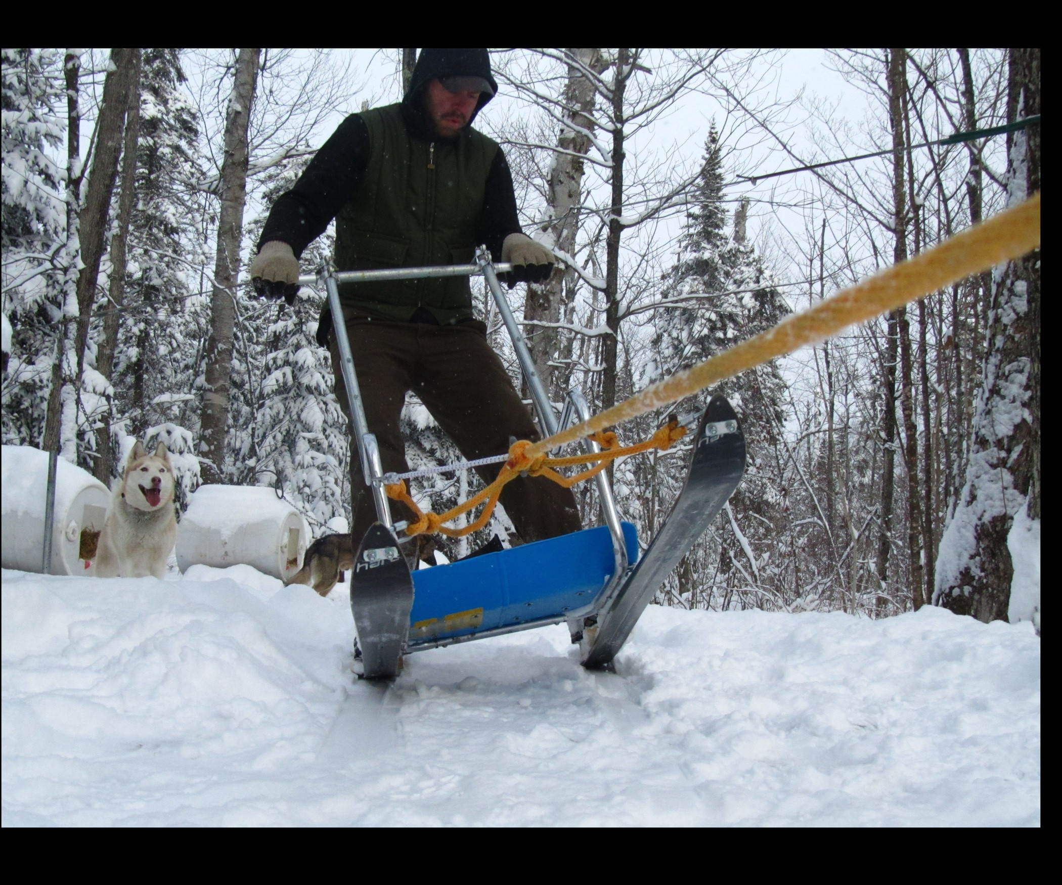 DIY Dog Sled
 Homemade Dogsled with