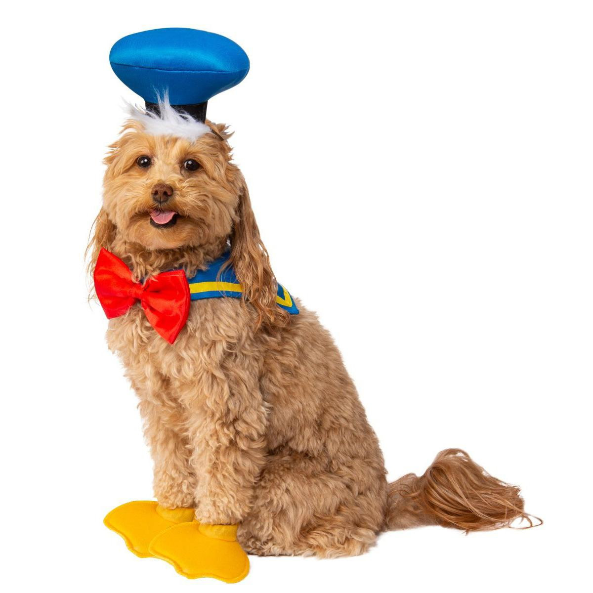 DIY Donald Duck Costume
 Disney Donald Duck Dog Costume Accessories by