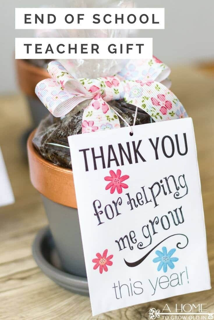 DIY End Of The Year Teacher Gifts
 DIY Teacher Appreciation Gifts for End of School Year