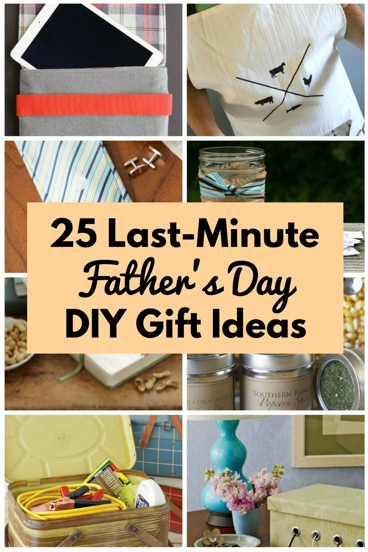 Diy Father'S Day Gift Ideas
 25 Last Minute Father s Day DIY Gift Ideas The Bud Diet