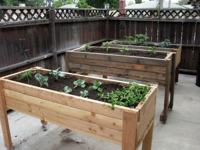 DIY Garden Planter Boxes
 DIY Waist High Planter Box – Your Projects OBN