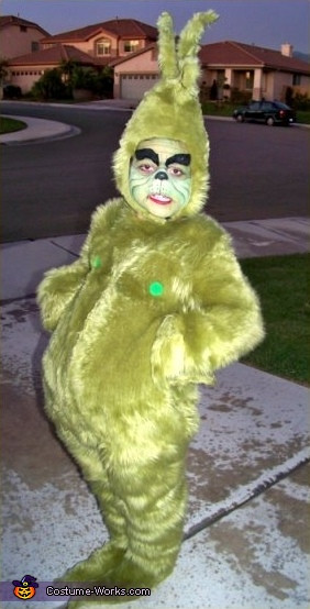 DIY Grinch Costume
 Homemade Grinch Costume