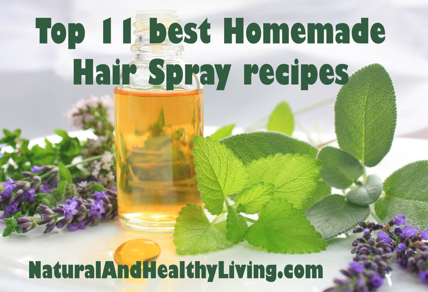 DIY Hair Growth Spray
 Top 11 DIY Homemade Hair Spray recipes Natural and