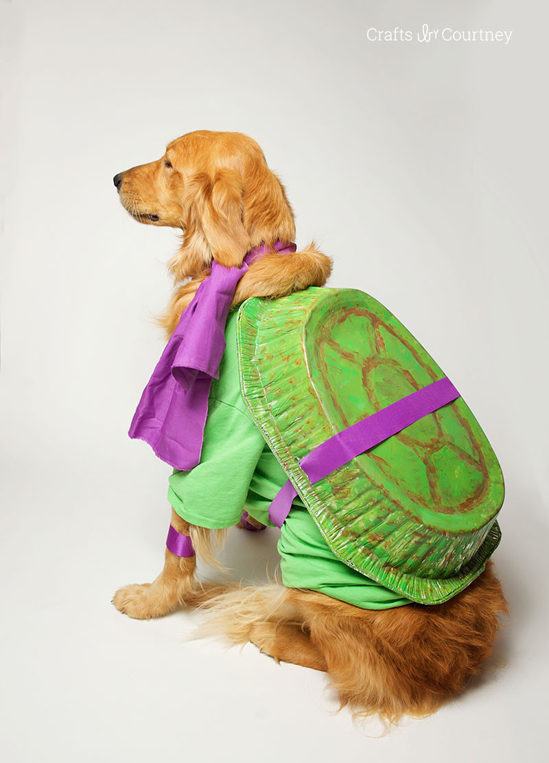 DIY Halloween Costume For Dogs
 13 Cool DIY Halloween Costume Ideas for Your Dog