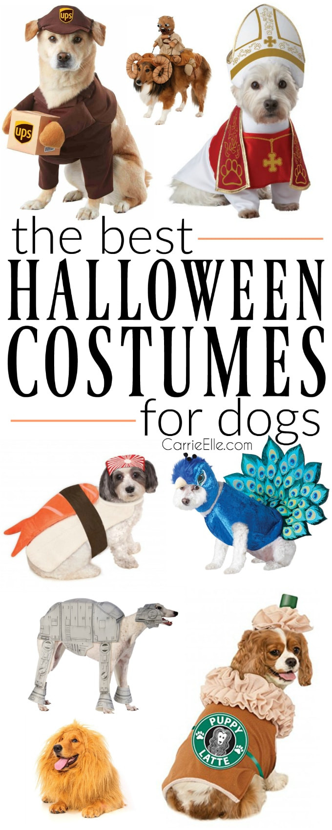DIY Halloween Costume For Dogs
 Best Dog Costumes Carrie Elle