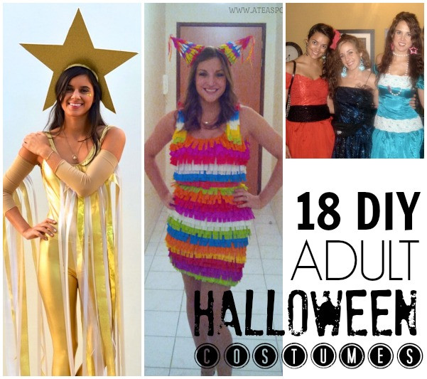 DIY Halloween Costumes For Adults Funny
 19 Easy DIY adult costumes C R A F T