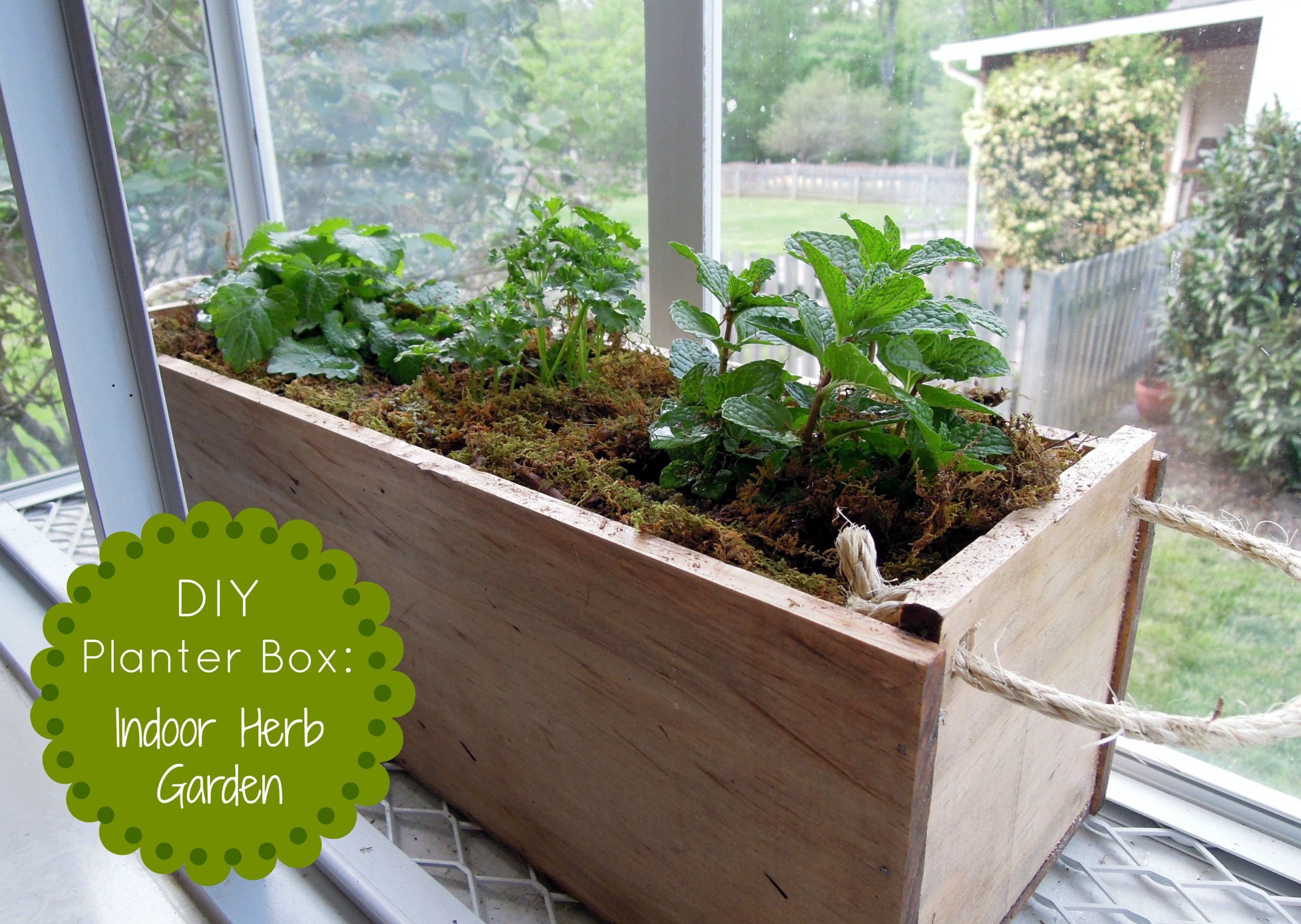 DIY Herb Planter Box
 DIY Herb Garden Planter Box