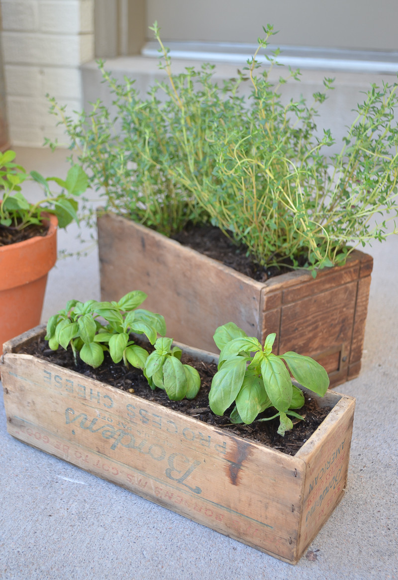 DIY Herb Planter Box
 DIY Herb Garden with Vintage Boxes