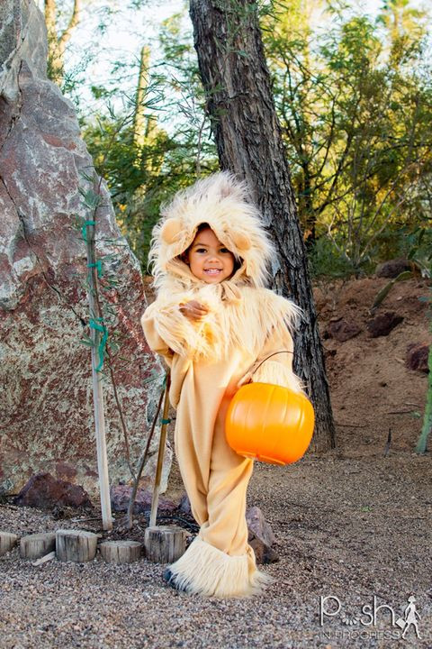 DIY Lion Costume Wizard Of Oz
 27 DIY Wizard of Oz Halloween Costumes for Dorothy