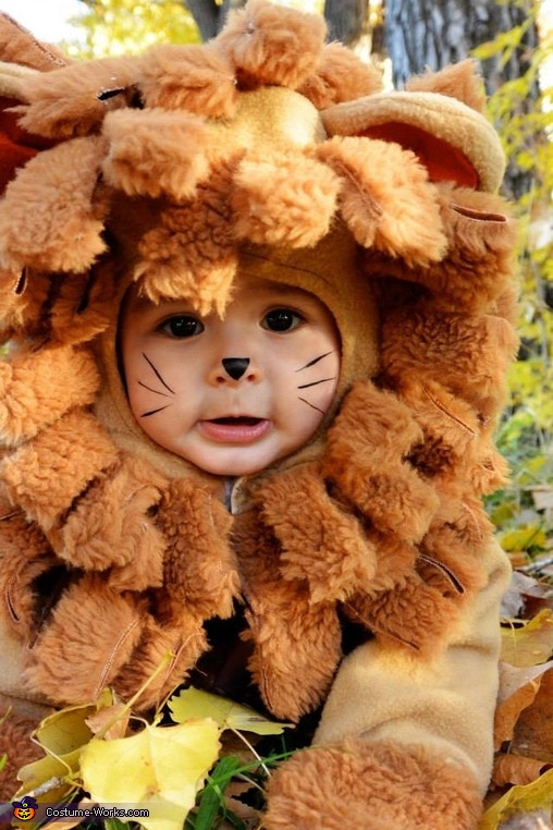 DIY Lion Costume Wizard Of Oz
 Lion from Wizard of Oz Baby Halloween Costume 2 2
