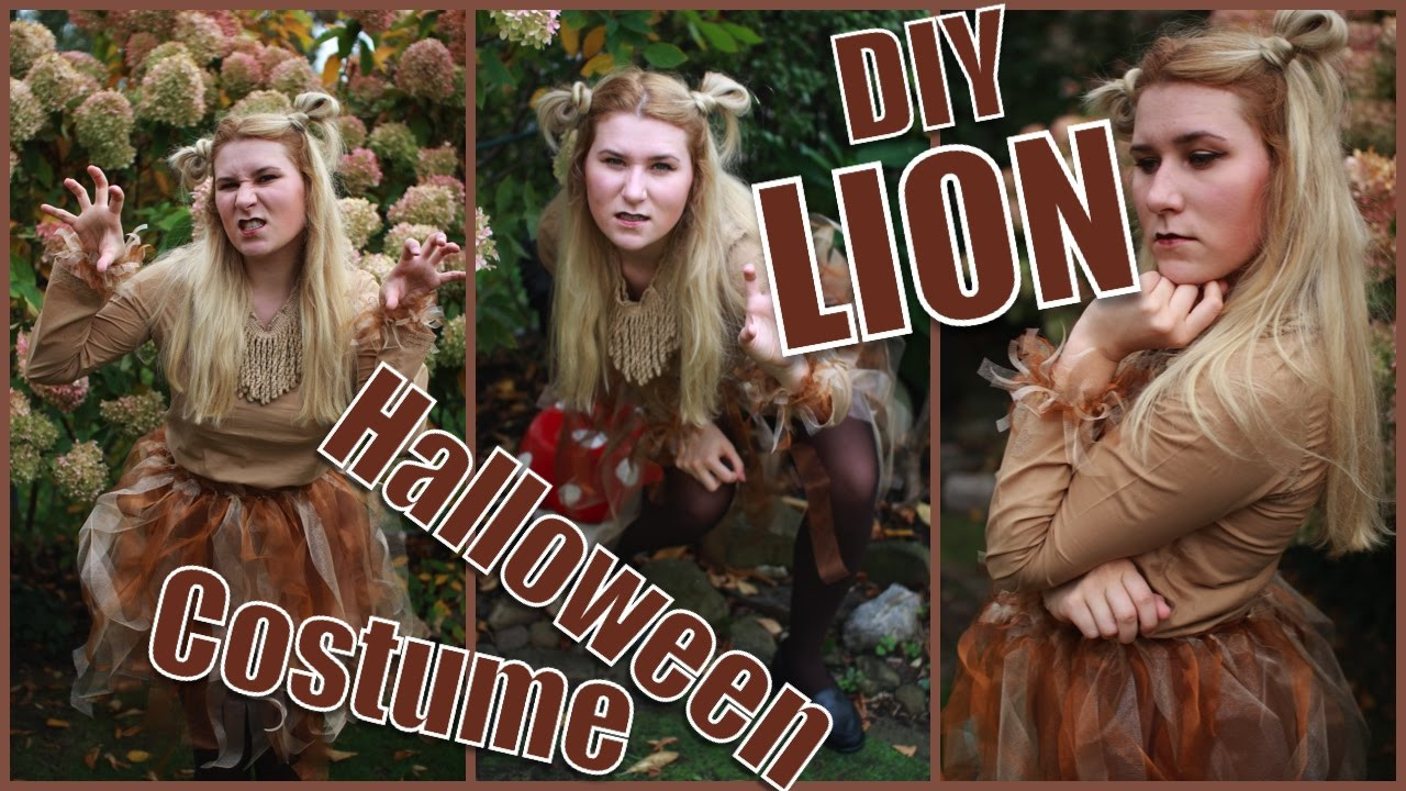 DIY Lion Costume Wizard Of Oz
 DIY Lion Halloween Costume Easy Cheap Quick