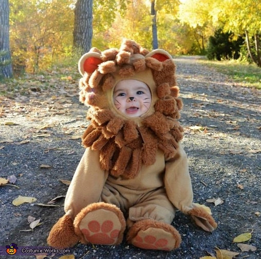 DIY Lion Costume Wizard Of Oz
 Lion from Wizard of Oz Baby Halloween Costume
