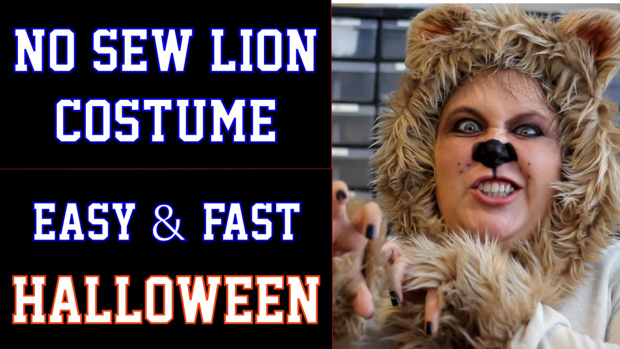 DIY Lion Costume Wizard Of Oz
 No Sew Lion Halloween Costume DIY Fast and Easy Wizard