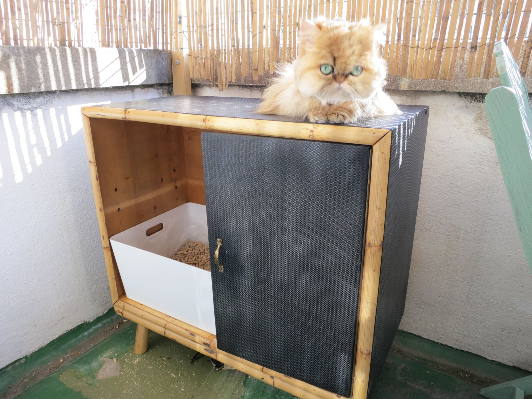 DIY Litter Box Cabinet
 DIY cat litter box