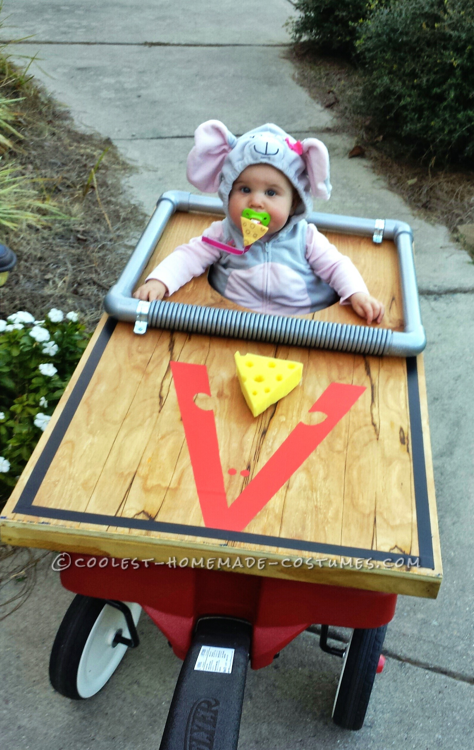 DIY Mouse Costumes
 Cutest Baby Mouse Mousetrap Costume