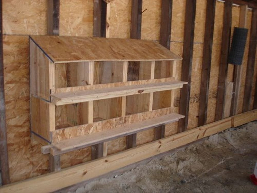 DIY Nest Box
 Build Your Own Chicken Nesting Box – Your Projects OBN