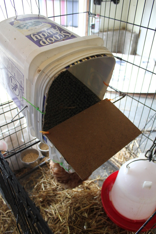 DIY Nest Box
 DIY roll away nest box My Pet Chicken Blog