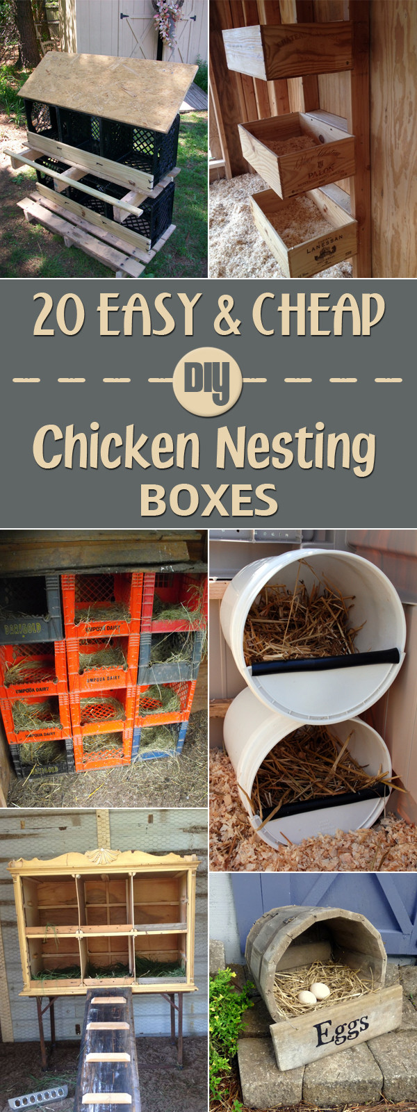 DIY Nest Box
 20 Easy & Cheap DIY Chicken Nesting Boxes