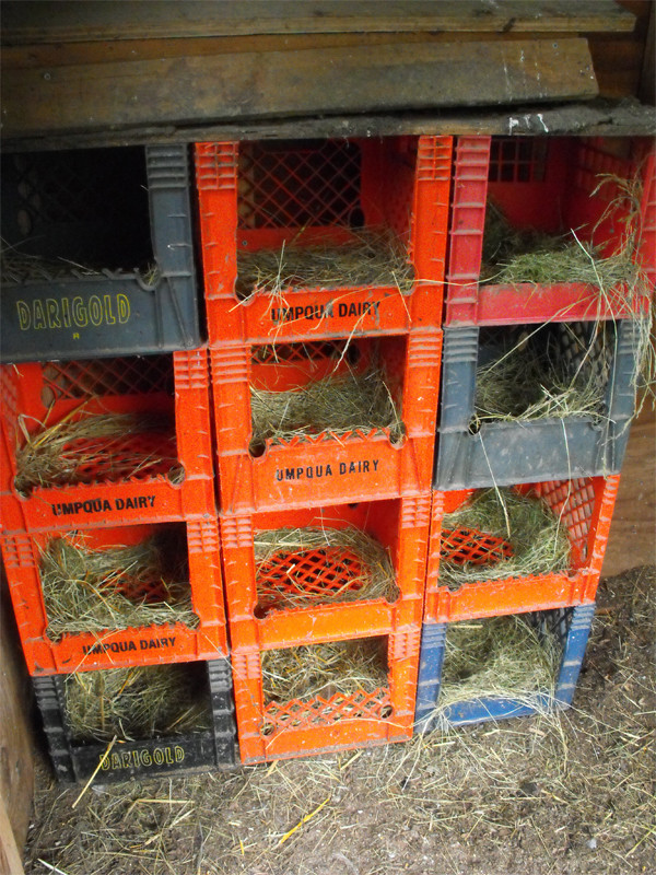 DIY Nest Box
 20 Easy & Cheap DIY Chicken Nesting Boxes