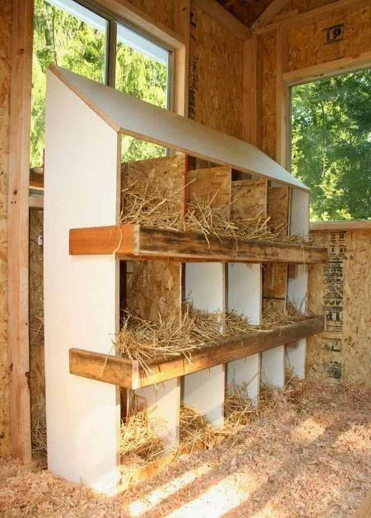 DIY Nest Box
 Build Your Own Chicken Nesting Box – Your Projects OBN