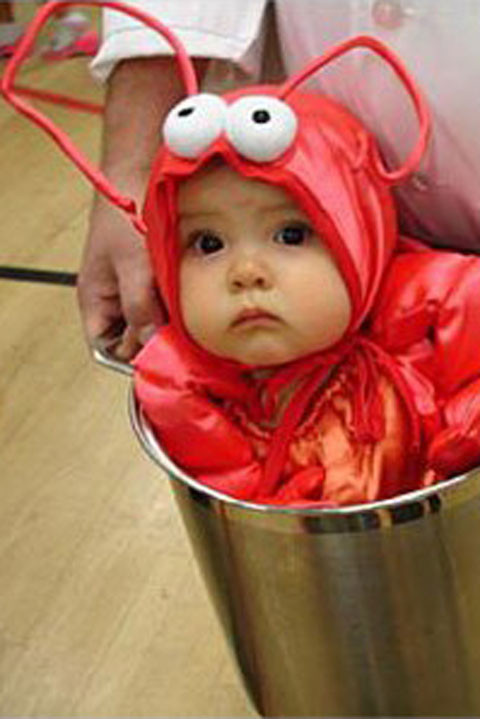 DIY Newborn Halloween Costumes
 Cute DIY Baby Halloween Costume Ideas Best Homemade