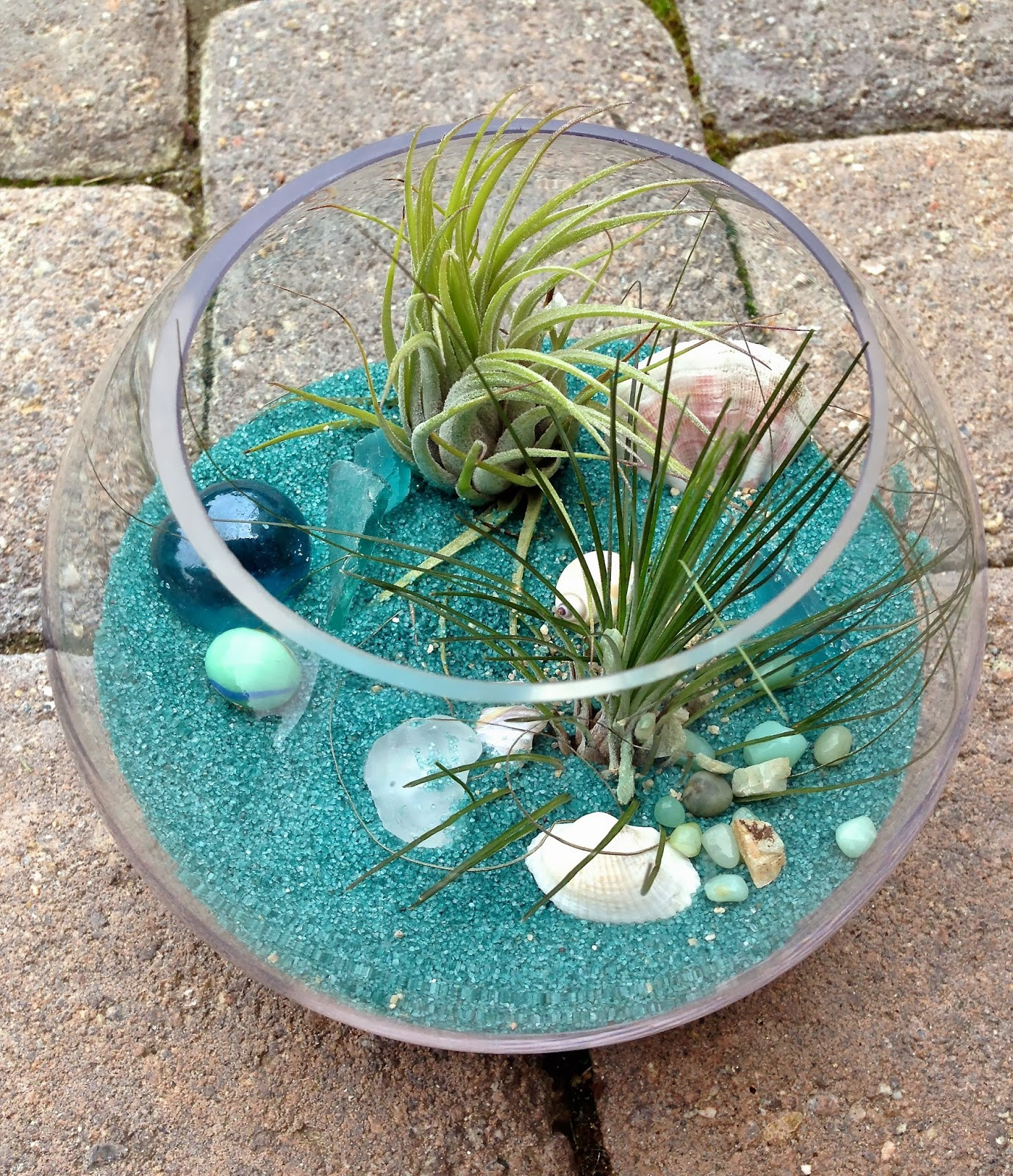 DIY Ocean Decor
 Garden and Bliss DIY Ocean Theme Terrarium