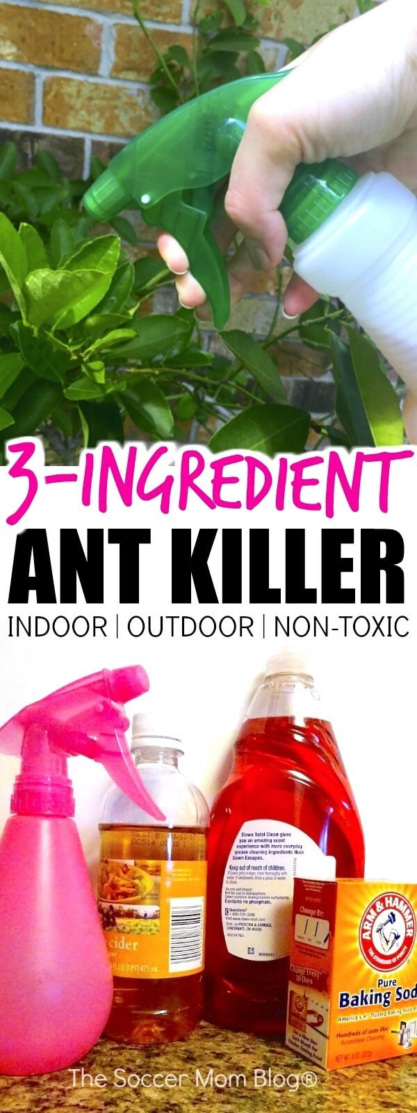 DIY Outdoor Ant Killer
 The Best Homemade Ant Killer Kid & Pet Safe The Soccer