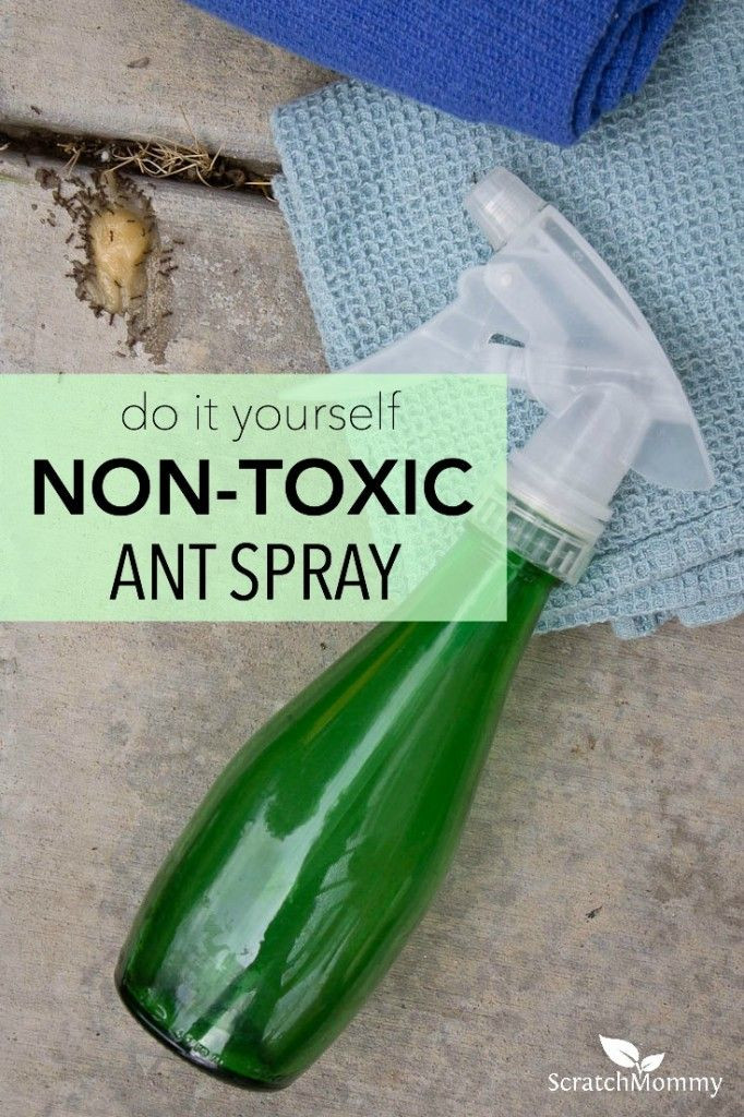 DIY Outdoor Ant Killer
 DIY Non toxic Ant Spray Recipe