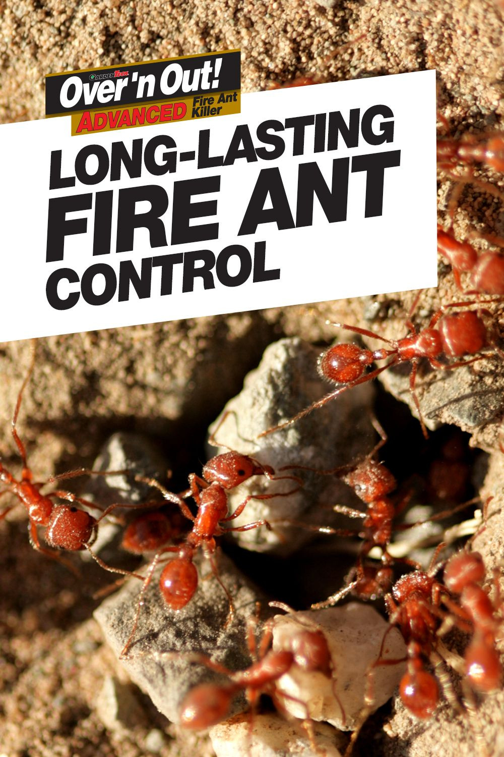 DIY Outdoor Ant Killer
 The Most Effective Fire Ant Controls For Your Lawn