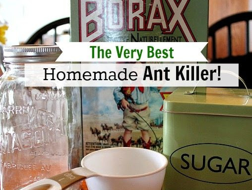 DIY Outdoor Ant Killer
 The Very Best Homemade DIY Ant Killer The Creek Line House
