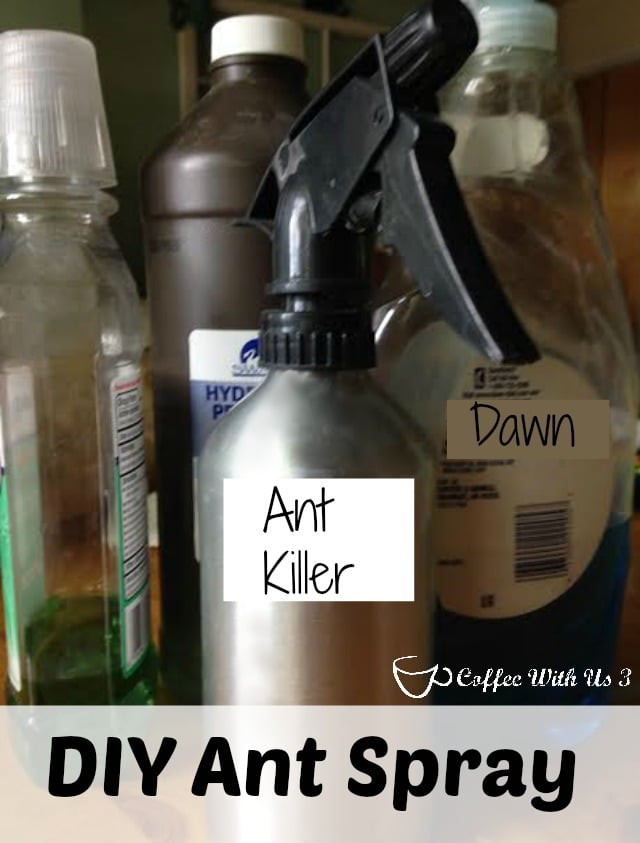 DIY Outdoor Ant Killer
 DIY Ant Spray & Ant Repellent Coffee With Us 3