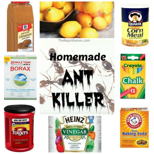 DIY Outdoor Ant Killer
 8 Sure Ways to Get Rid of Ants The Repo Woman