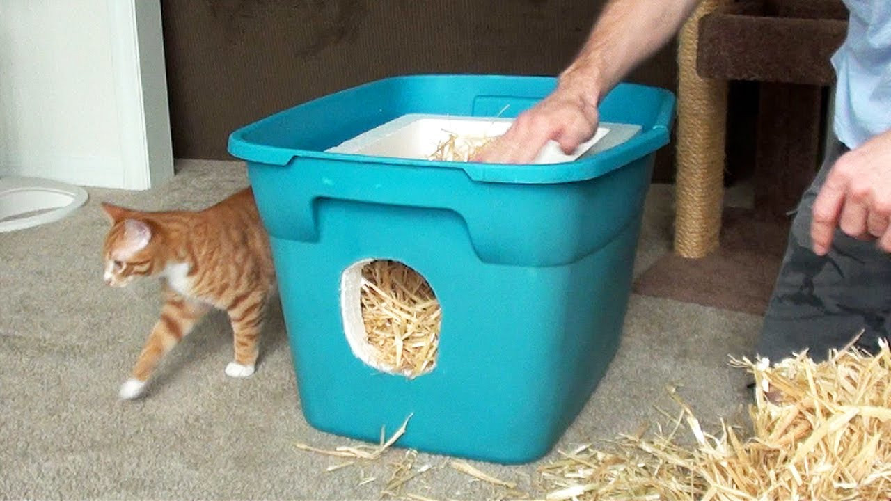 DIY Outdoor Cat House For Winter
 How to Make a Feral Cat Shelter