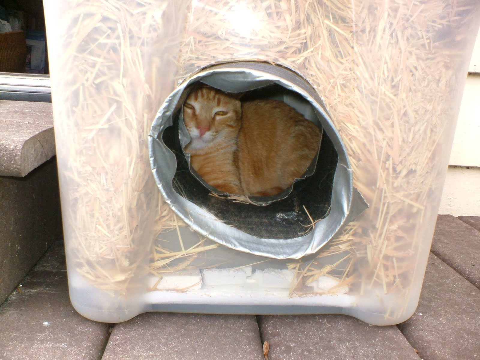 DIY Outdoor Cat House For Winter
 The Very Best Cats How to Make a Winter Shelter for an