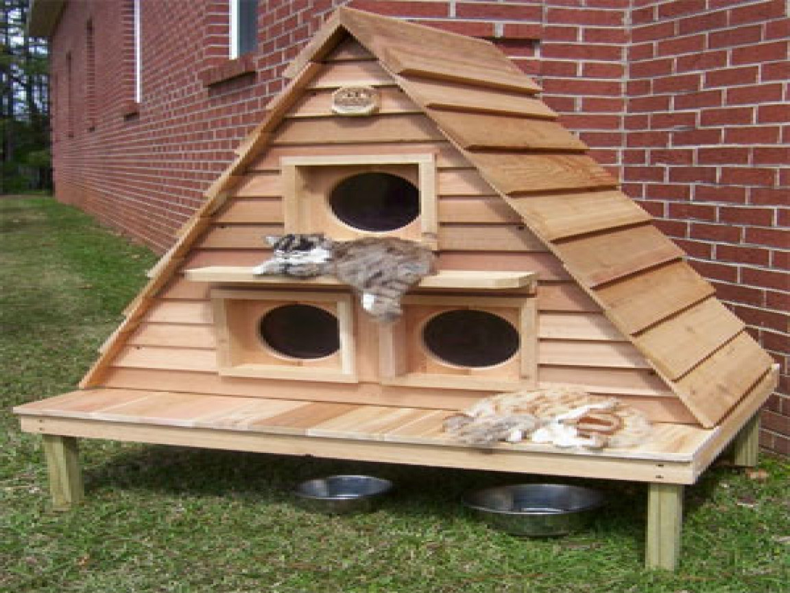 DIY Outdoor Cat House For Winter
 Plans for Outdoor Winter Cat Houses Outdoor Cat House