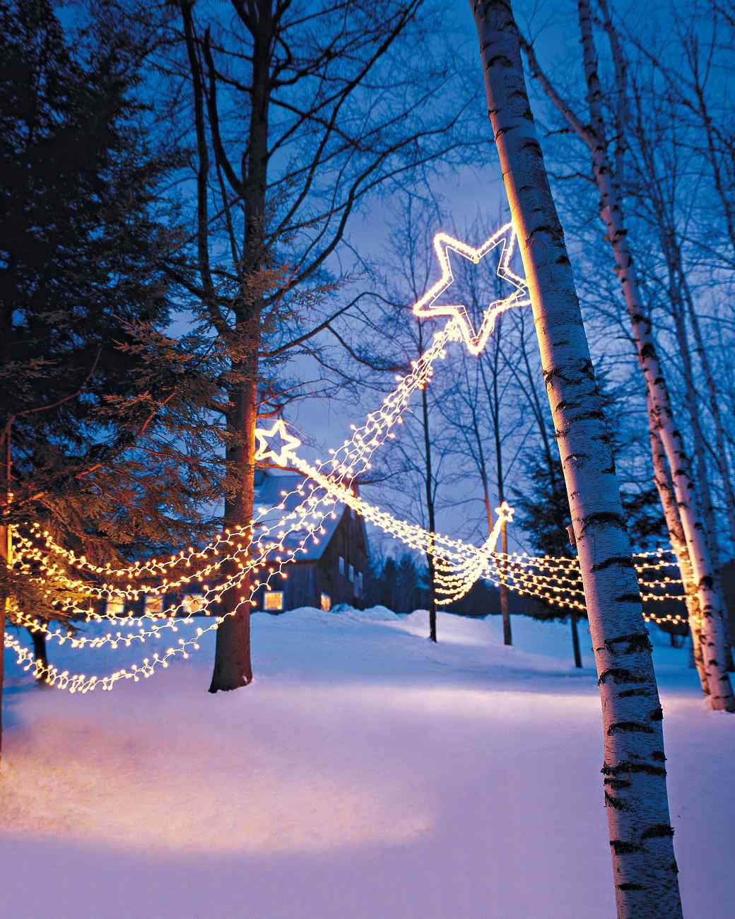 DIY Outdoor Christmas Light Tree
 15 Beautiful Christmas Outdoor Lighting DIY Ideas