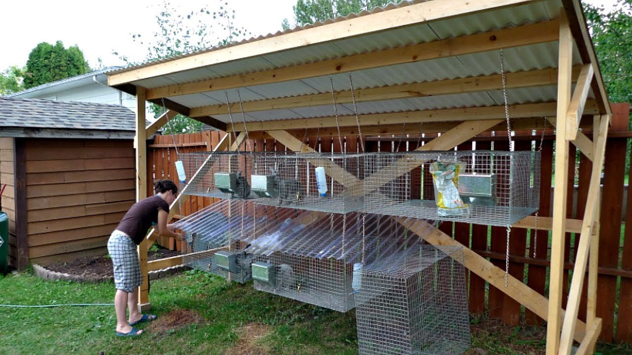 DIY Outdoor Rabbit Cage
 Where to Find RABBIT CAGE SUPPLIES