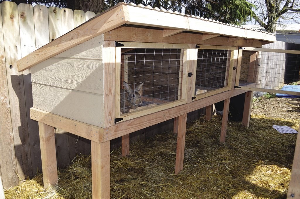 DIY Outdoor Rabbit Cage
 Build a rabbit hutch and tractor