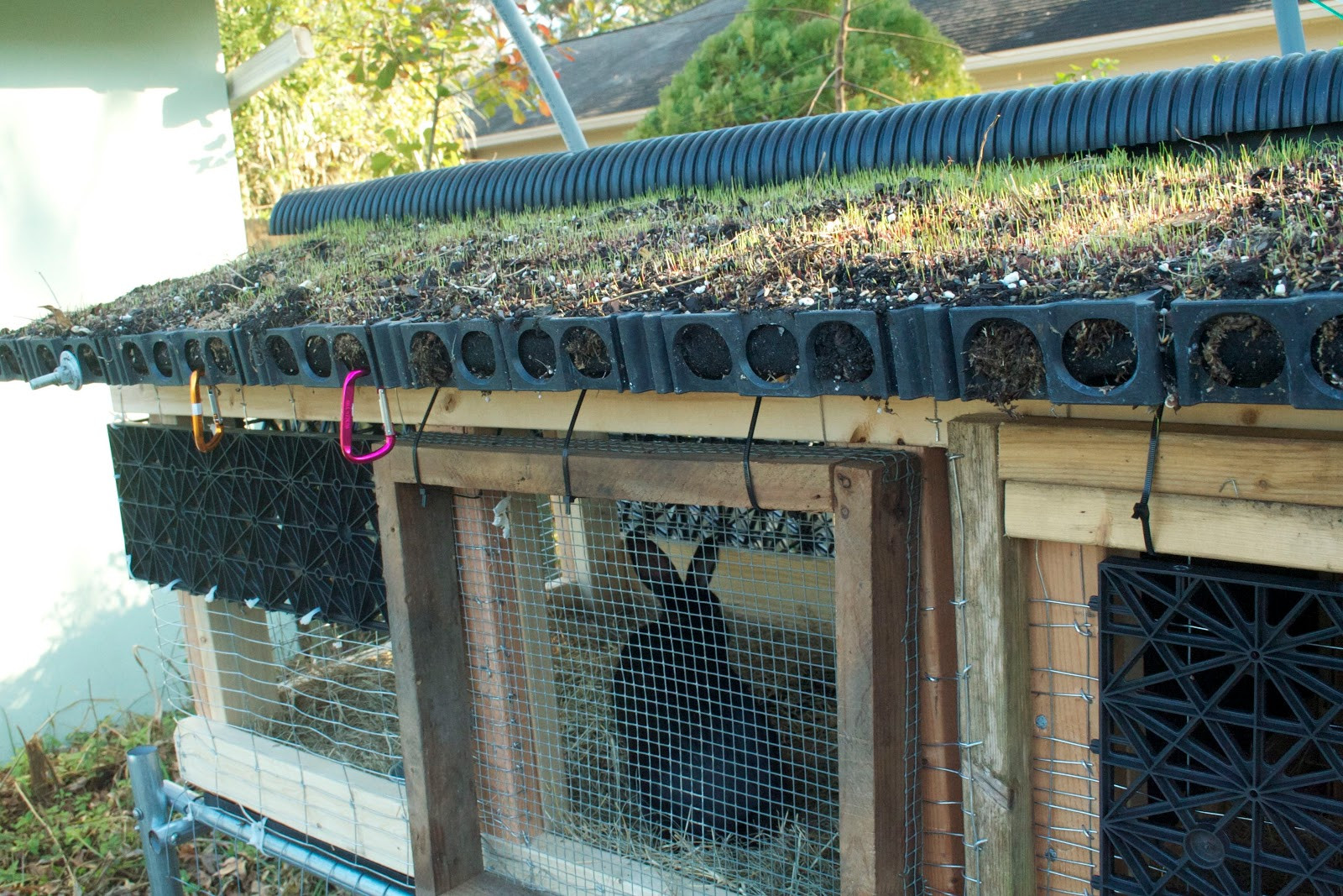DIY Outdoor Rabbit Cage
 Fernando Industrial shed design plans