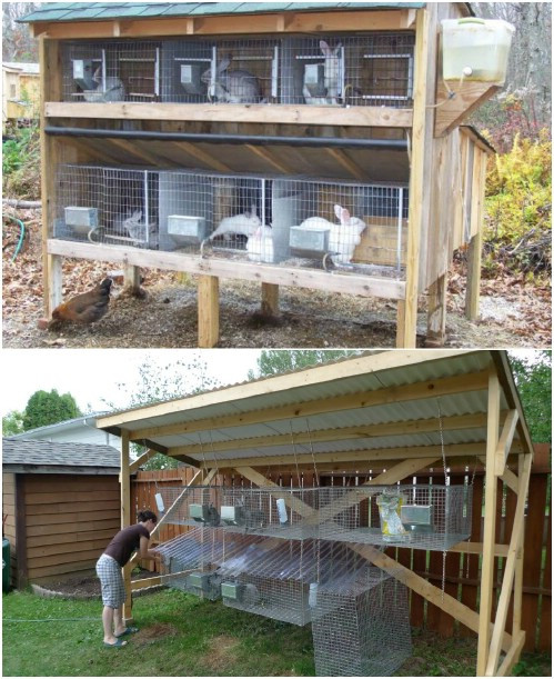 DIY Outdoor Rabbit Cage
 10 Free DIY Rabbit Hutch Plans That Make Raising Bunnies