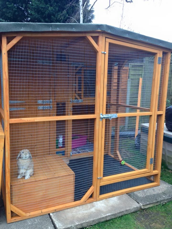 DIY Outdoor Rabbit Cage
 474 best Great rabbit home ideas images on Pinterest