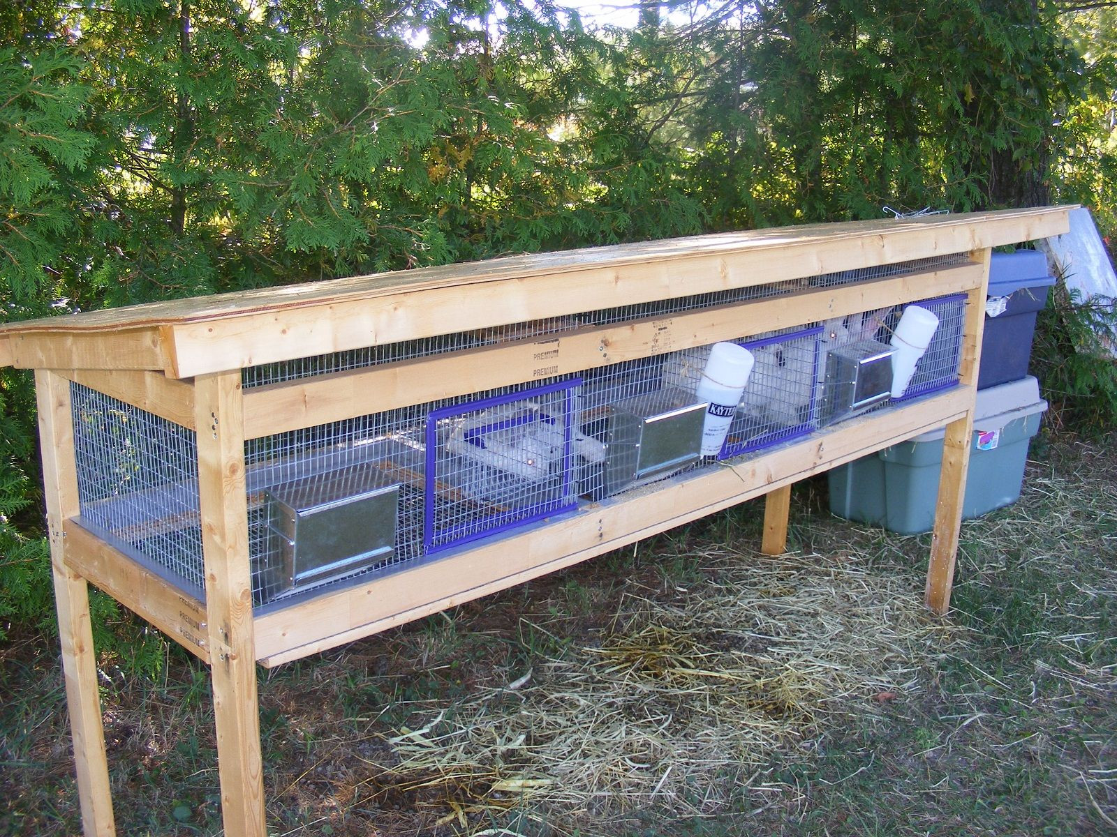DIY Outdoor Rabbit Cage
 mercial Rabbit Cages Plans