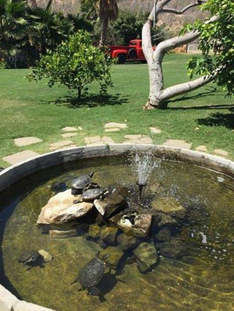 DIY Outdoor Turtle Pond
 32 Inspiring DIY Backyard Turtle Pond Designs Ideas