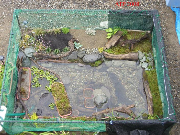 DIY Outdoor Turtle Pond
 Related Keywords & Suggestions for homemade turtle pond