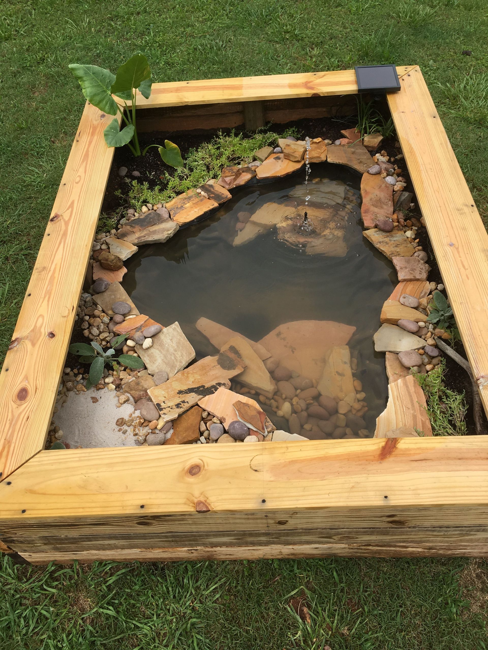 DIY Outdoor Turtle Pond
 Ground Ponds
