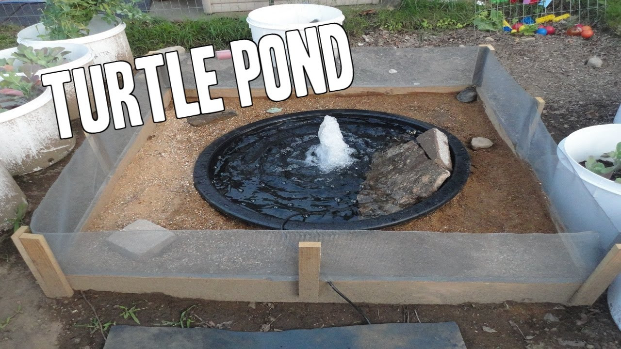 DIY Outdoor Turtle Pond
 Making a turtle pond