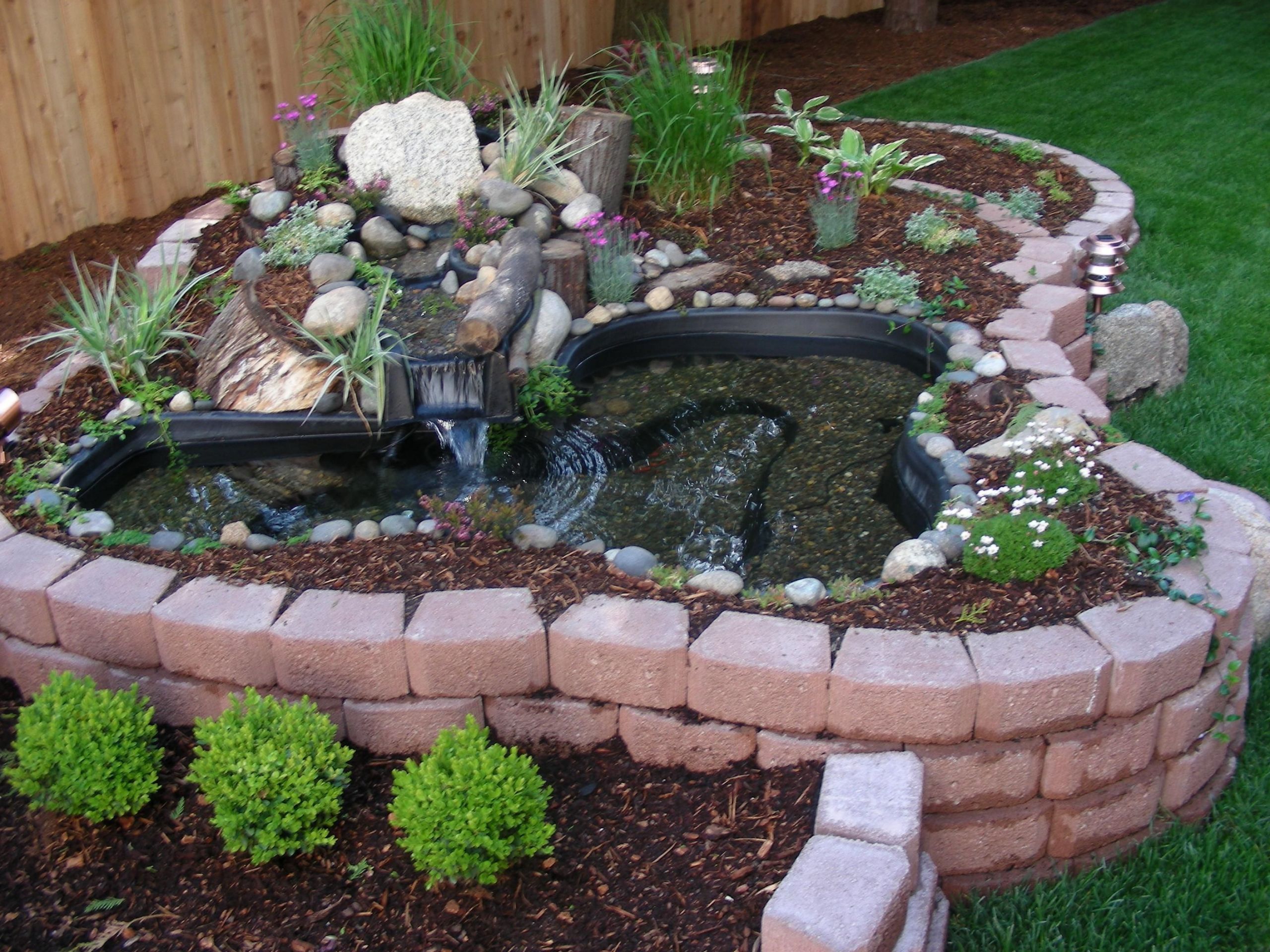 DIY Outdoor Turtle Pond
 above ground turtle ponds for backyards