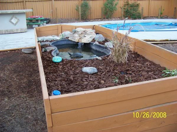 DIY Outdoor Turtle Pond
 Ideas for Small Pond Turtles