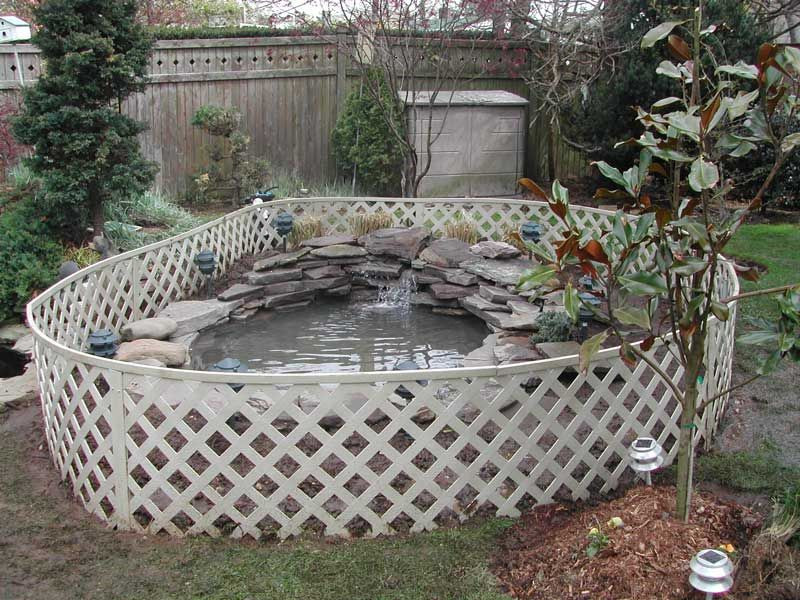 DIY Outdoor Turtle Pond
 Outdoor Turtle Pond